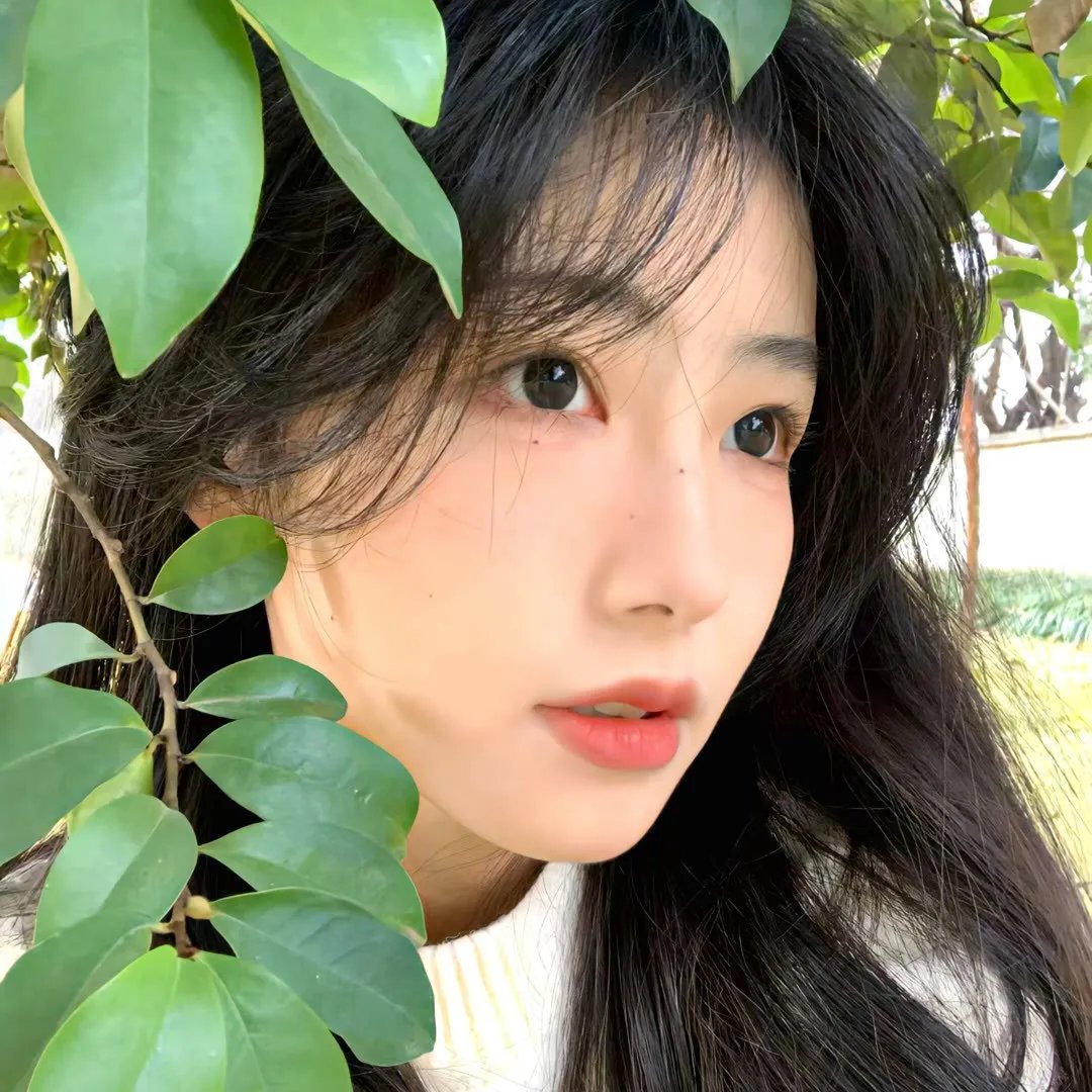 疯狂的麦咭第八季